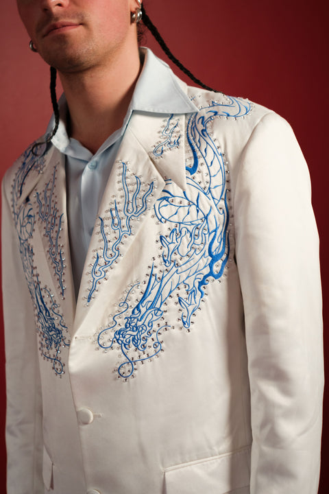 Ice Dragon Suit