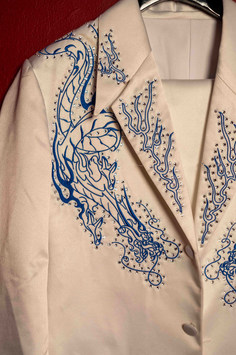 Ice Dragon Suit
